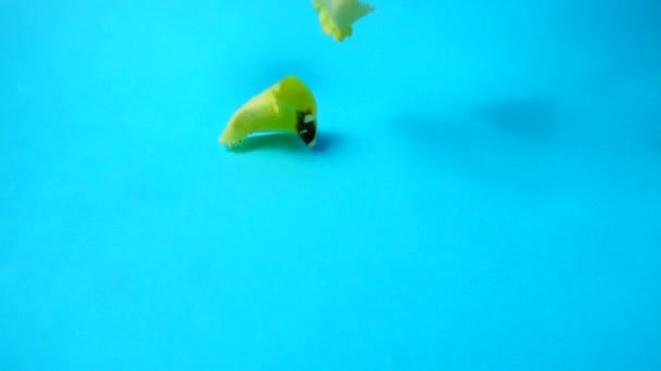 チューリップの花びらの落下 スローモーション 花の撮影 — ストック動画