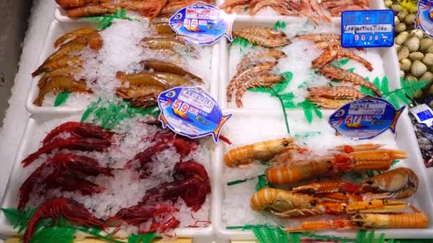 魚介類の選択 マドリード スペイン 2018年3月25日 サンアントン市場 市場はチュエカ地区の中心部にあります — ストック動画