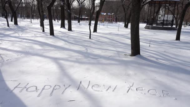 Inscription Happy New Year Snow — Stock Video