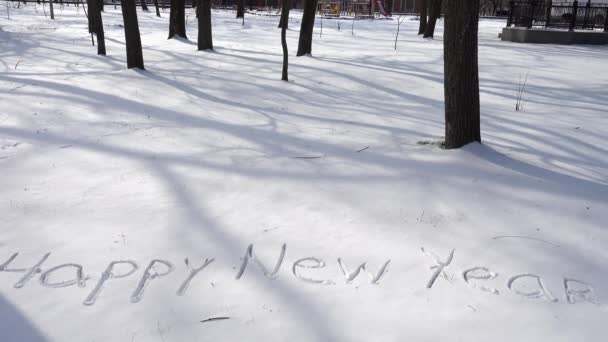 Kar Üzerinde Mutlu Yeni Yıl Yazıtları — Stok video