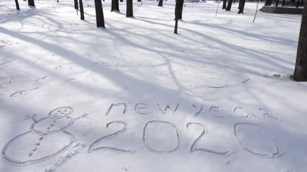 雪の上で新年を迎えると — ストック動画