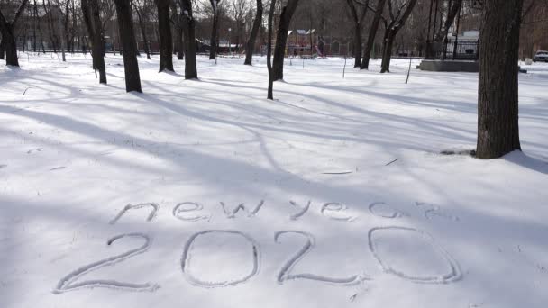 Inscripción Año Nuevo Nieve — Vídeo de stock