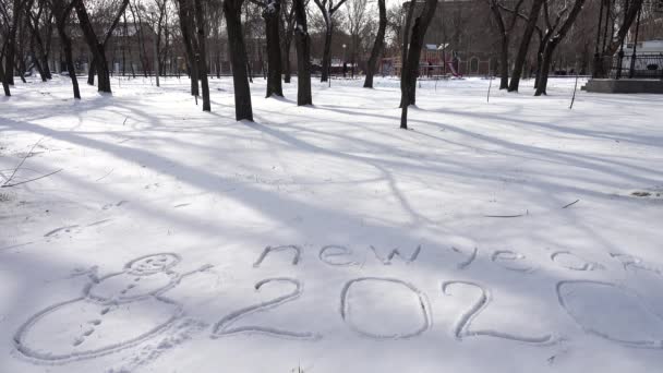雪の上の碑文の新年 — ストック動画