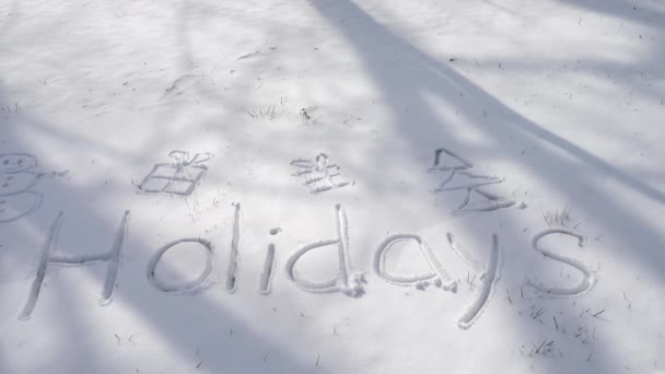 Inscripción Vacaciones Nieve — Vídeo de stock