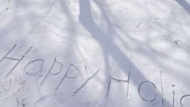 Inscripción Felices Fiestas Nieve — Vídeo de stock