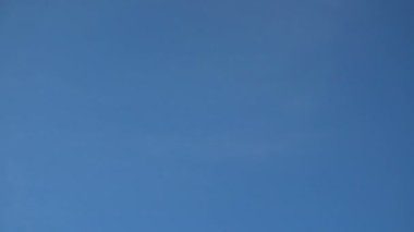 Gökteki martılar gibi. Ağır çekim. 480 fps. Martı vuruşları.