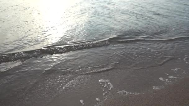在海滩上拍摄 慢动作240 Fps 海上冲浪 — 图库视频影像