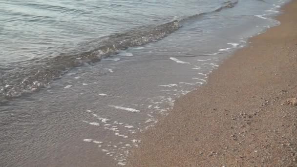 Mar Disparos Playa Cámara Lenta 240 Fps Surf Marino — Vídeo de stock