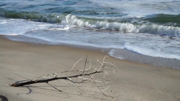 Zeegolf Langzame Beweging 240 Fps Schieten Het Strand — Stockvideo