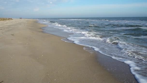 Zeegolf Langzame Beweging 240 Fps Schieten Het Strand — Stockvideo