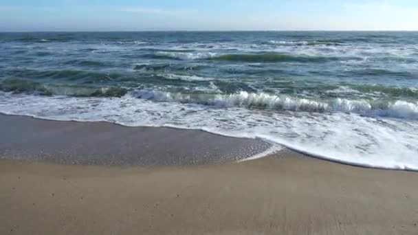 Une Vague Tournage Sur Plage — Video