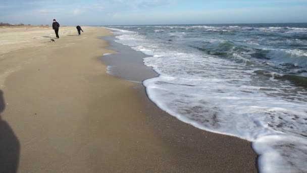 Une Vague Ralenti 240 Ips Tournage Sur Plage — Video