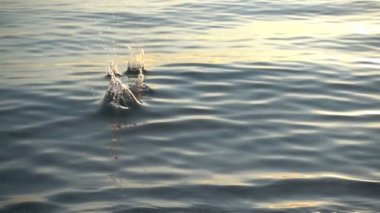Taş suya düşer. Ağır çekim. 480 fps. Yavaş Hareket.