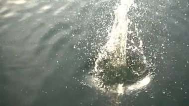 Taş suya düşer. 480 fps. Yavaş Hareket.
