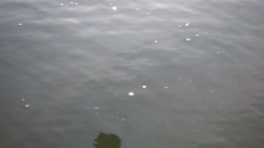 Taş suya düşer. 480 fps. Yavaş Hareket.