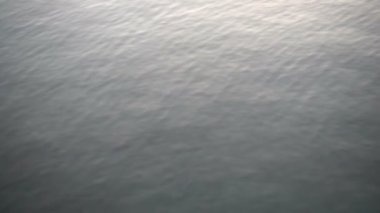 Martılar denizin üzerinde uçar. Ağır çekim. 240 fp. Yavaş Hareket.