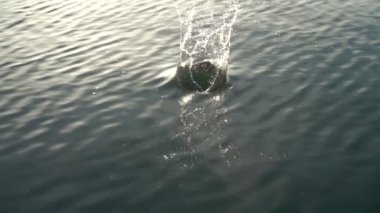 Taş suya düşer. Ağır çekim. 480 fps. Yavaş Hareket.