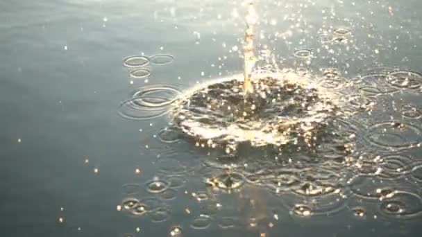 Taş Suya Düşer 480 Fps Yavaş Hareket — Stok video