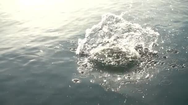 Piedra Cae Agua Cámara Lenta 480 Fps Moción Lenta — Vídeo de stock