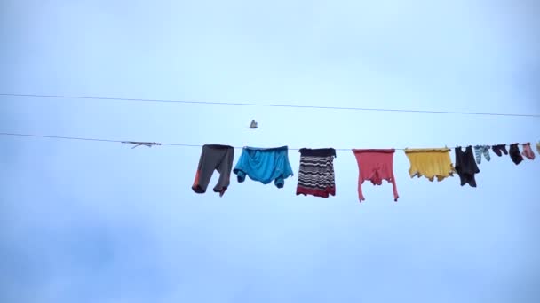 Wäsche Trocknet Hoch Über Dem Boden Einem Seil Zeitlupe — Stockvideo