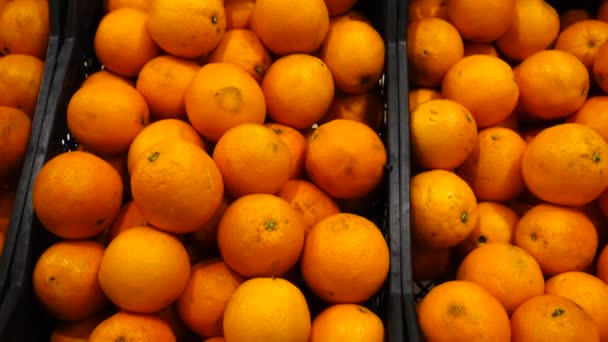 Laranjas Num Supermercado Tiro Comida — Vídeo de Stock