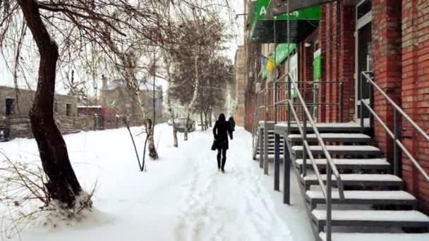 Şehirde Yağan Kar Yavaş Çekim — Stok video