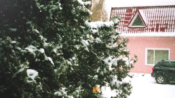 Sneeuw Tegen Achtergrond Van Bomen Langzame Beweging — Stockvideo