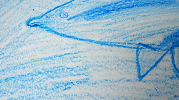 Kreslení Delfína Natáčení Výkresu — Stock video