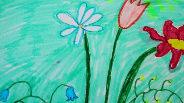 Drawing Flower Shooting Drawing — Stock Video