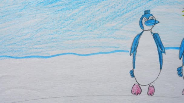 Dibujo Pingüinos Tiro Del Dibujo — Vídeo de stock