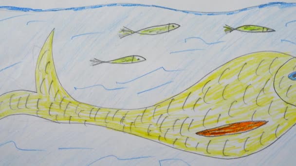 Fische Ozean Die Zeichnung — Stockvideo