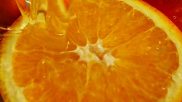 Juicy Ripe Orange Slow Motion — Stock Video