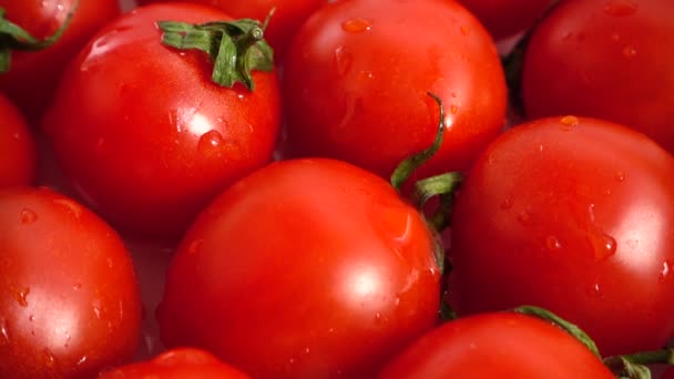 Drops Fall Tomatoes Slow Motion — Stock Video