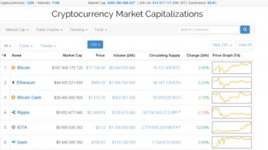 Kripto para birimi maliyeti. Mali bilgiler.
