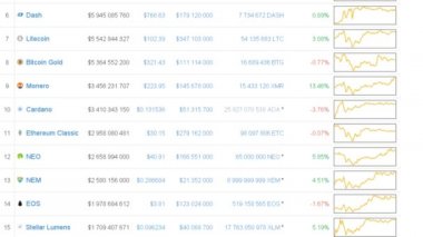 Kripto para birimi maliyeti. Mali bilgiler.