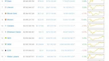 Kripto para birimi maliyeti. Mali bilgiler.