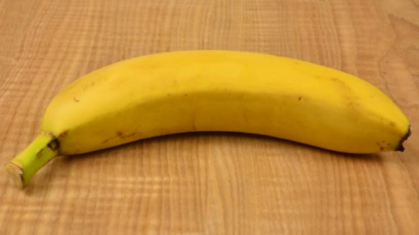 Strzelanie Bananów Zatrzymać Ruch — Wideo stockowe