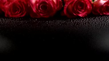 Siyah arka planda kırmızı güller.