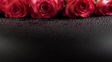 Siyah arka planda kırmızı güller.