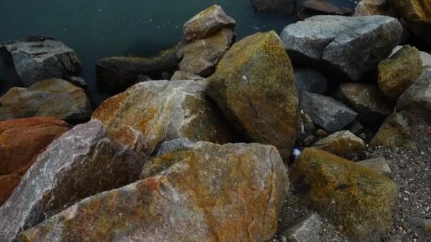 Kamienie Morze Strzelanie Morza — Wideo stockowe