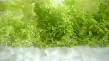 Marul yapraklarını yıkıyorum. Yavaş çekim.