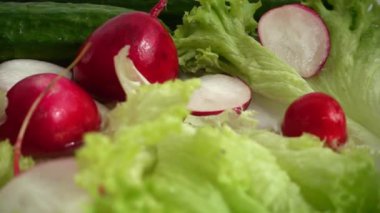 Suyun içinde turp, salatalık ve marul yaprakları. Yavaş çekim.