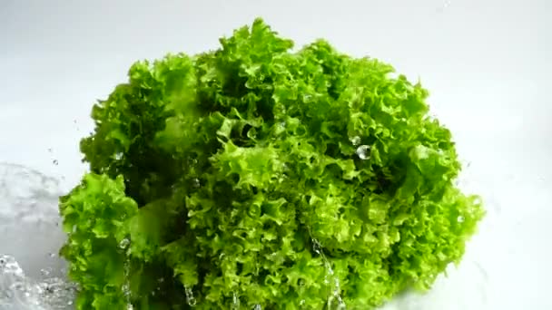 Waschen Der Salatblätter Zeitlupe — Stockvideo