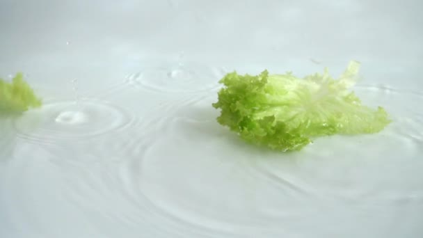 洗净生菜叶子 慢动作 — 图库视频影像