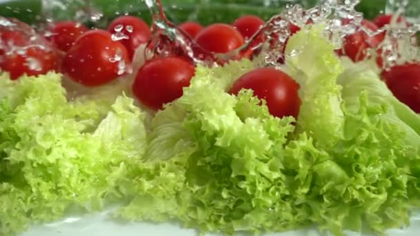 Suyun Içinde Turp Salatalık Marul Yaprakları Yavaş Çekim — Stok video