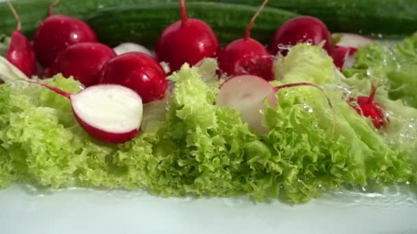Radish Cucumbers Lettuce Leaves Stream Water Slow Motion — Stock Video