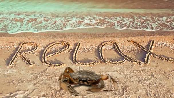 Krabben Und Eine Inschrift Auf Sand Der Strand Inschrift Auf — Stockvideo