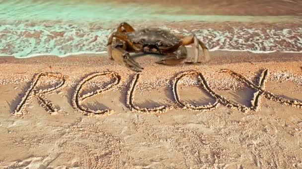 Краб Напис Піску Пляжі Напис Розслабтеся Піску — стокове відео