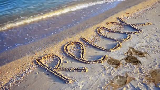 螃蟹和沙滩上的题词 在沙地上登记放松 — 图库视频影像