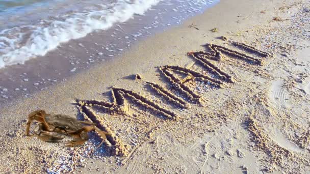 Granchio Iscrizione Sulla Sabbia Sulla Spiaggia Iscrizione Miami Sulla Sabbia — Video Stock